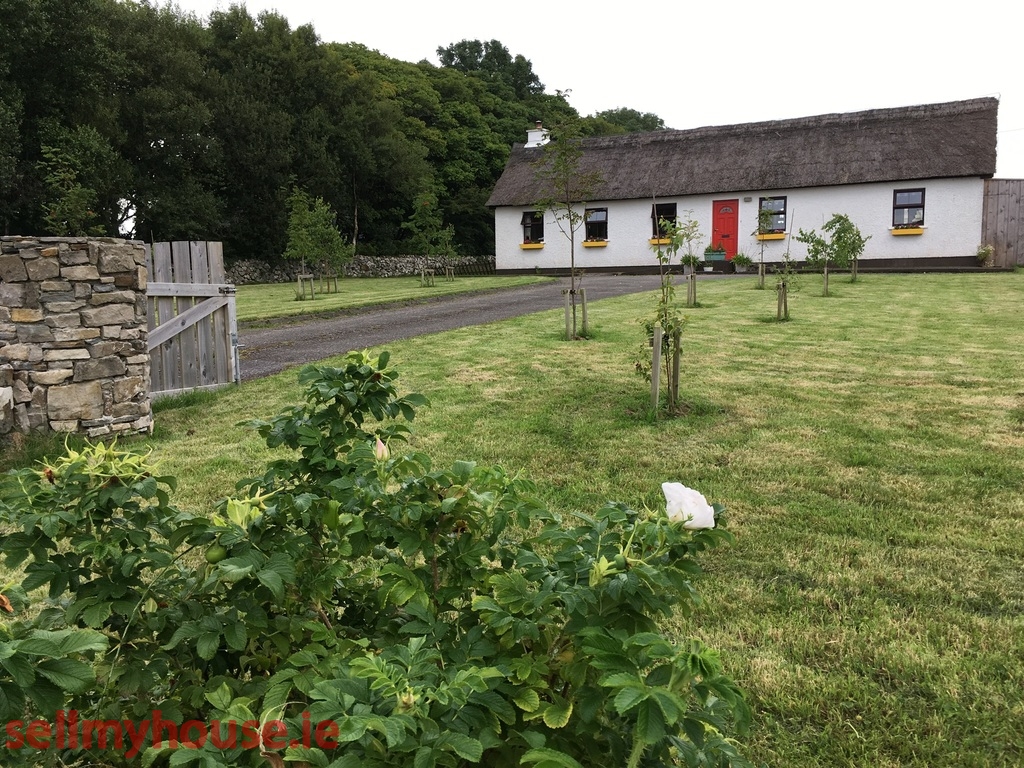 Cottage and Herbal medicine farm for sale in cliffoney, sligo