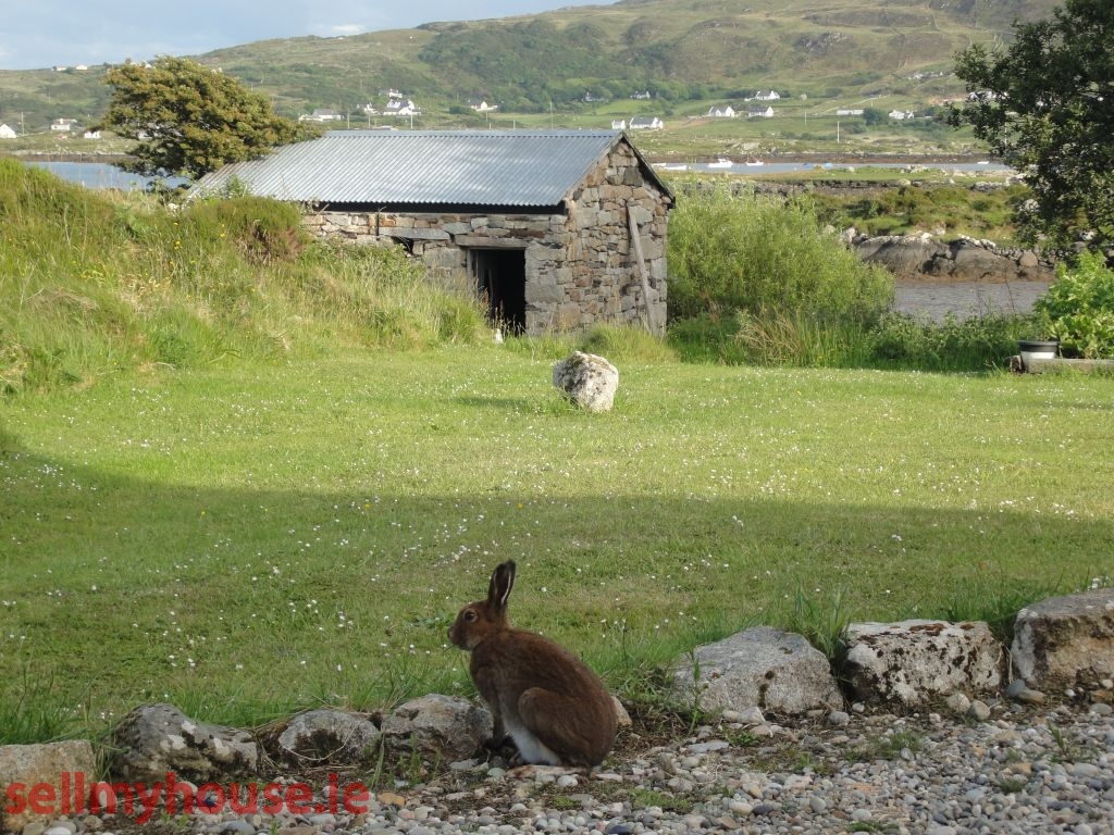 Maghery Cottage Coastal Property for sale in Dungloe privately by owner