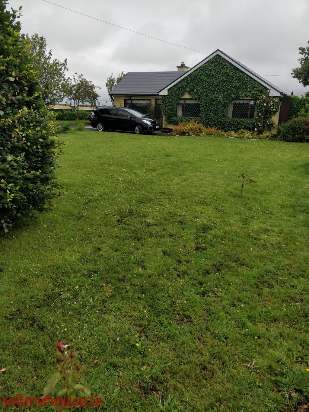 Caherpeak Bungalow
