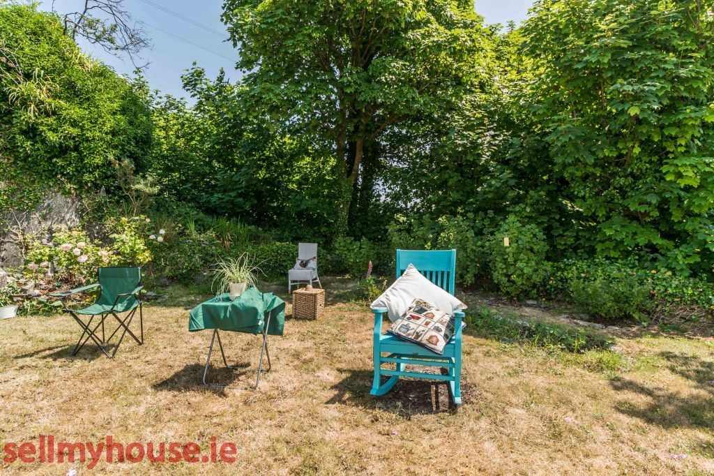 Kitty O Sheas P75 XN66