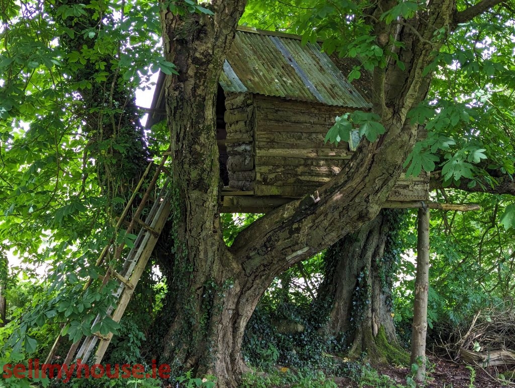 Woodgarlic Farm