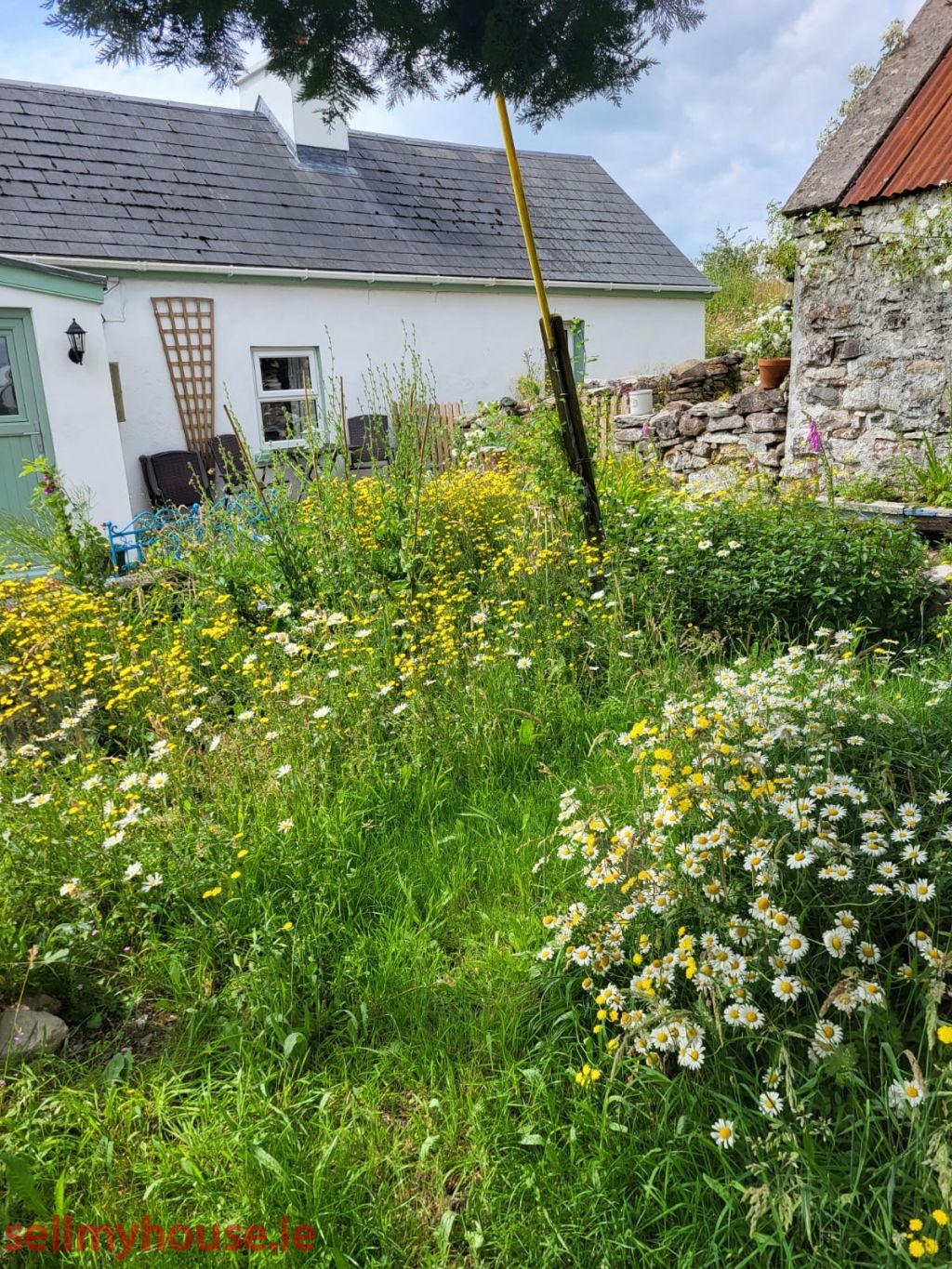 Rose Cottage