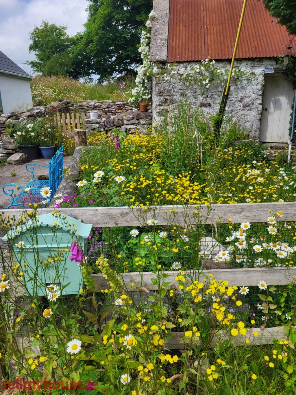 Rose Cottage