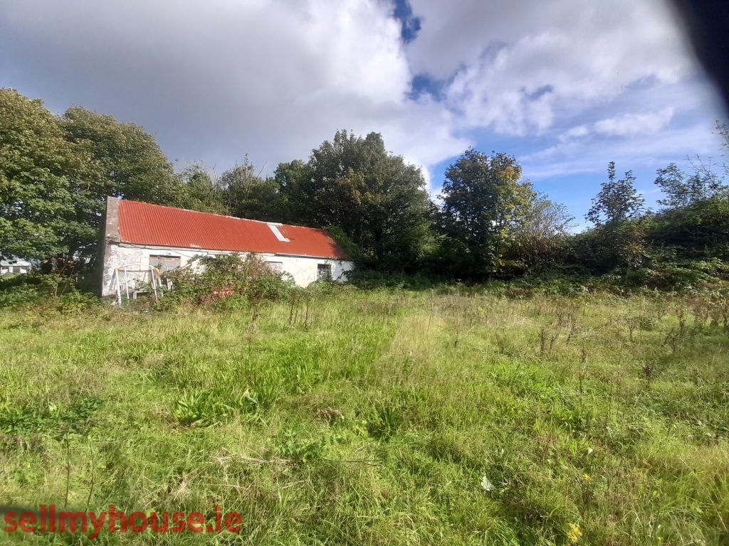 Ballina Renovation for sale